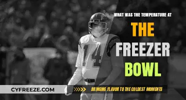 Freezer Bowl's Historic Chill: Uncovering the Record-Breaking Game Temperature