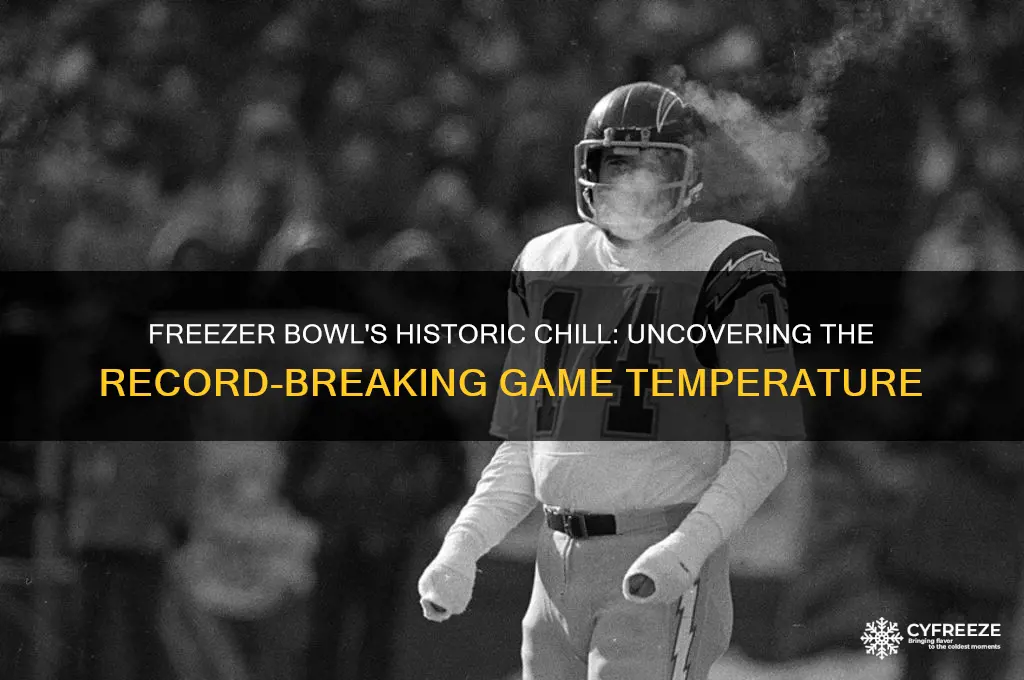 what was the temperature at the freezer bowl