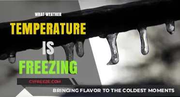 Understanding Freezing Temperatures: When Does Weather Turn to Ice?