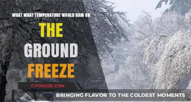 When Does Rain Freeze on the Ground? Temperature Threshold Explained