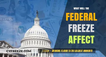 Navigating the Impact of the Federal Freeze: A Comprehensive Guide