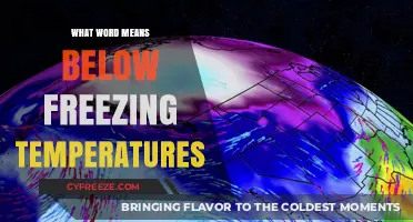 Understanding Subzero: The Term for Below Freezing Temperatures Explained