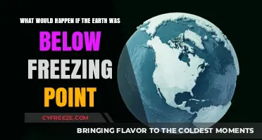 A Frozen Earth: Exploring Life Below Freezing Point Consequences
