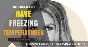 Historic Freeze: The Year 49 States Experienced Below-Freezing Temperatures