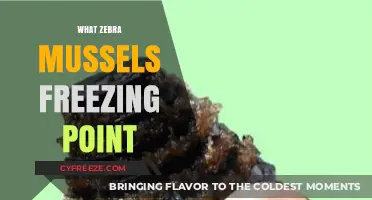 Zebra Mussels' Freezing Point: Survival Limits in Cold Water Ecosystems