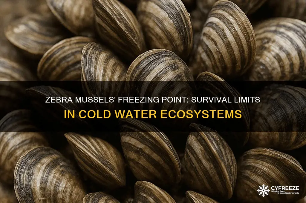 what zebra mussels freezing point