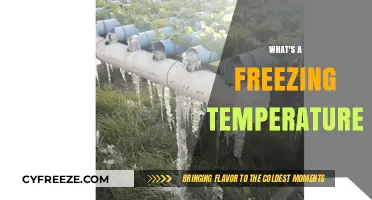 Understanding Freezing Temperature: What It Means and How It Affects Us