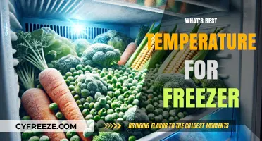 Optimal Freezer Temperature: Preserving Food Safely and Efficiently