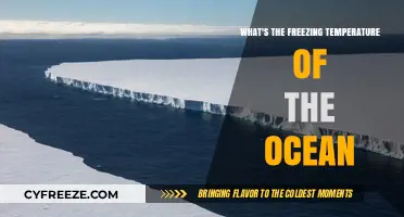 Ocean Freezing Point: Understanding the Temperature of Sea Ice Formation