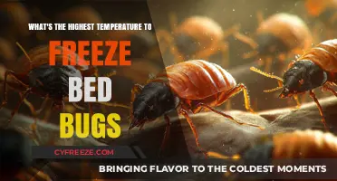 Effective Bed Bug Freezing: Discover the Optimal Temperature Threshold