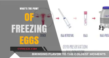 The Benefits and Considerations of Freezing Eggs for Future Use