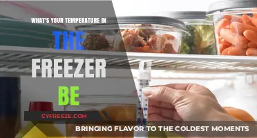 Chilling Truth: Ideal Freezer Temperature for Food Safety and Efficiency