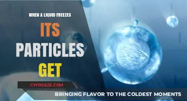 When a Liquid Freezes: How Particles Transform and Arrange Themselves