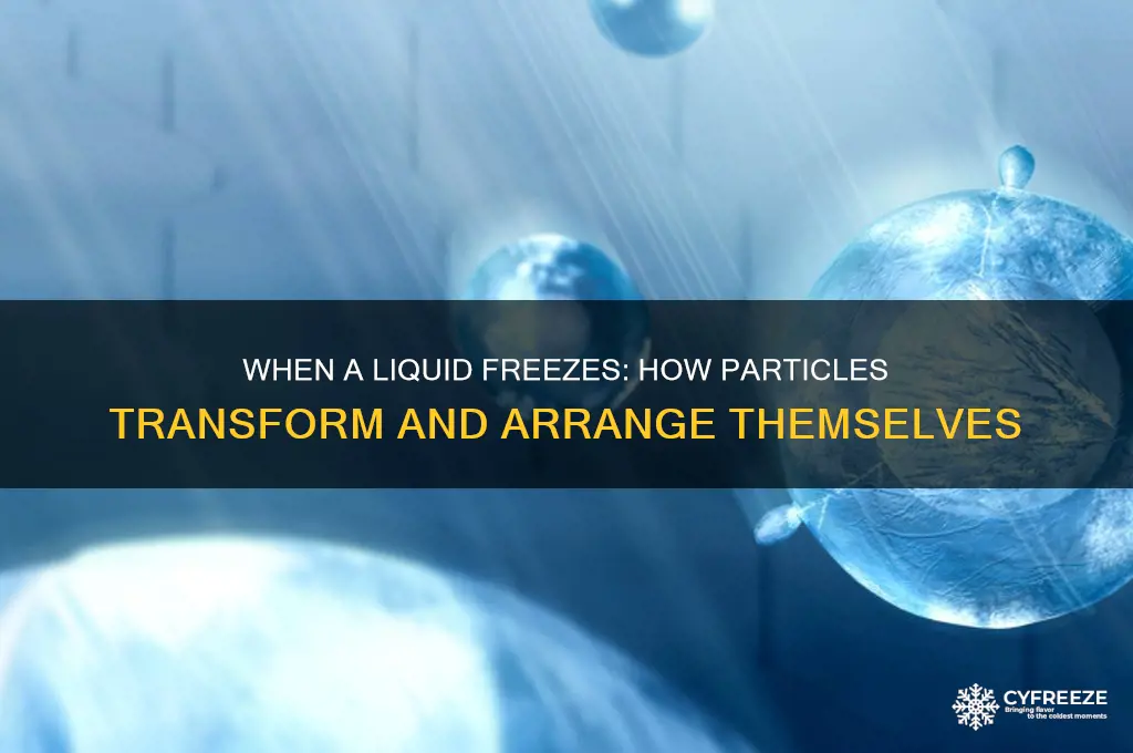 when a liquid freezes its particles get