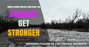 Does River Current Intensify When Ice Forms on Its Surface?