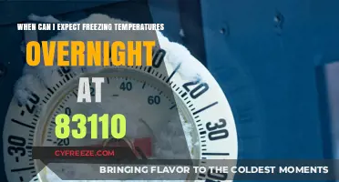 Overnight Freeze Forecast for 83110: When to Expect Icy Temps