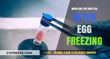 Reviving Fertility: A Guide to Sexual Activity Post-Egg Freezing