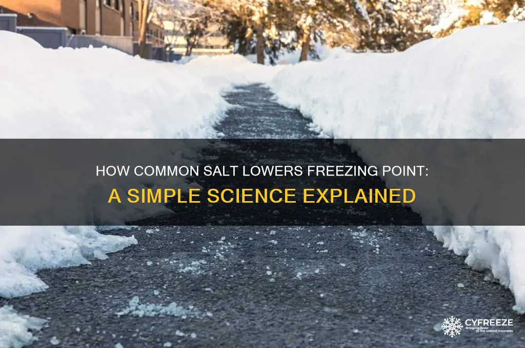 when common salt is mixed with is the freezing point