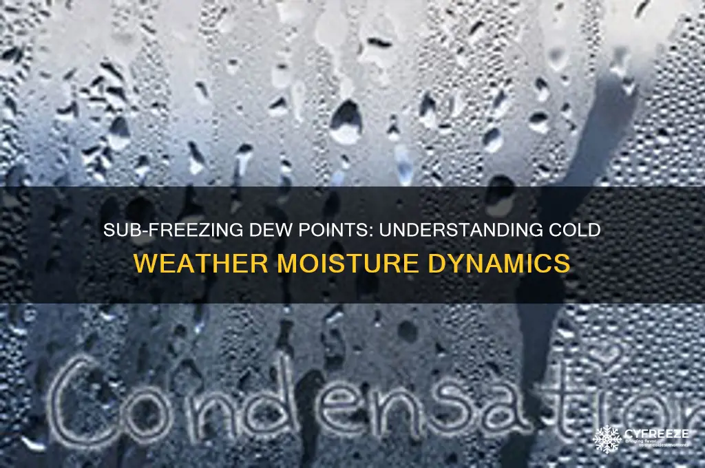 when dew point is below freezing