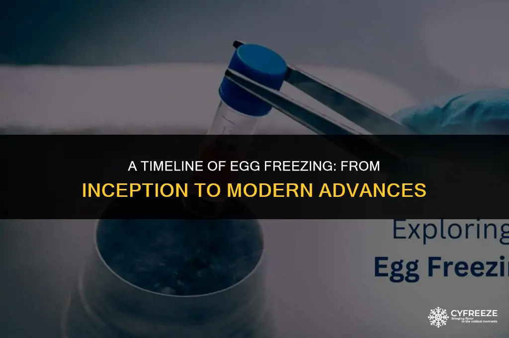 when did egg freezing become available