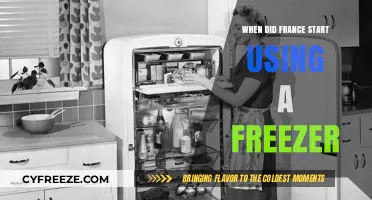 France's Frozen Revolution: When Freezers Became a Household Staple