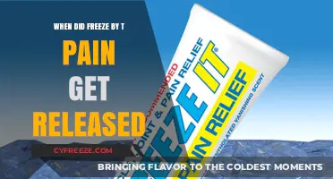 When Did T-Pain's Hit Single 'Freeze' Drop?
