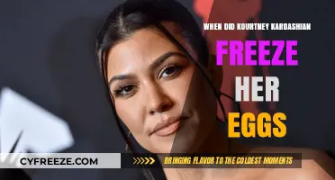 Kourtney Kardashian's Egg Freezing Journey: A Timeline