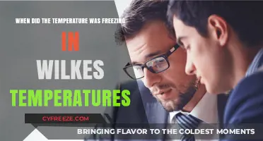 When Wilkes Experienced Freezing Temperatures: A Historical Overview