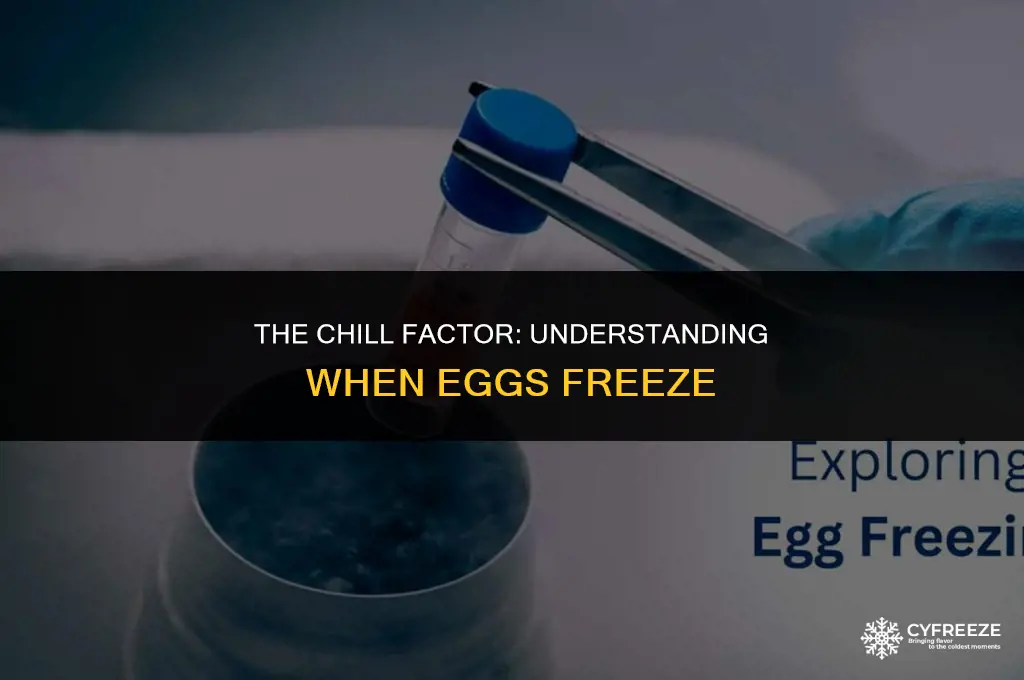 when do eggs freeze