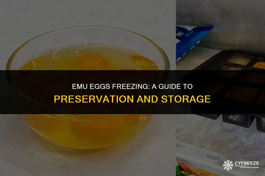 when do emu eggs freeze