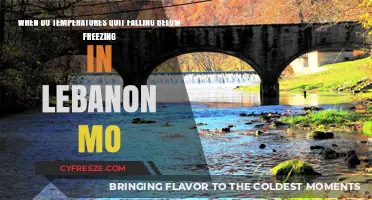 Lebanon, MO: When Do Freezing Temperatures Finally End in Spring?