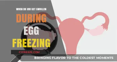 When Do Ovaries Swell During the Egg Freezing Process?