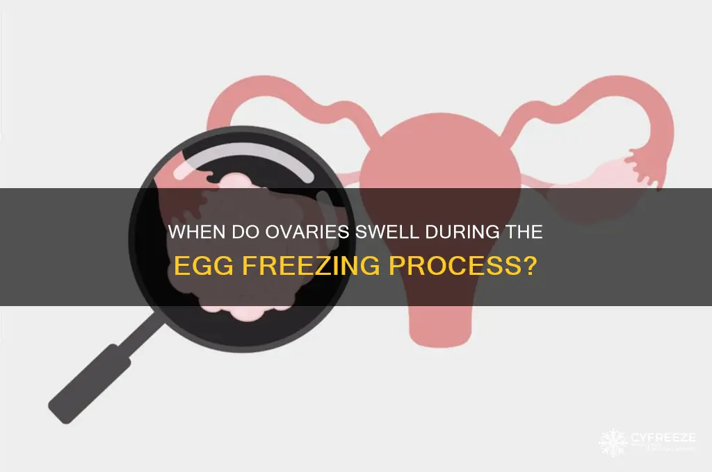 when do uiu get swollen during egg freezing