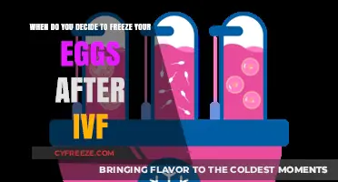 Choosing the Right Moment: Freezing Eggs Post-IVF Explained