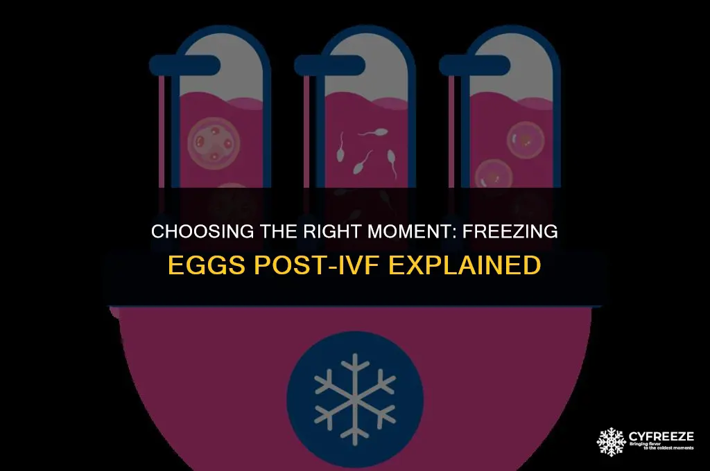 when do you decide to freeze your eggs after ivf