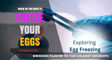 Considering Egg Freezing: Timing and Decision-Making Guide