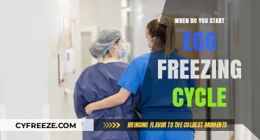 Considering Egg Freezing: When to Begin Your Cycle