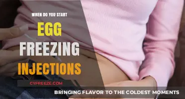 Egg Freezing Injections: Timing Your Fertility Preservation Journey