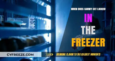 The Chilling Moment Carmy Gets Locked in the Freezer