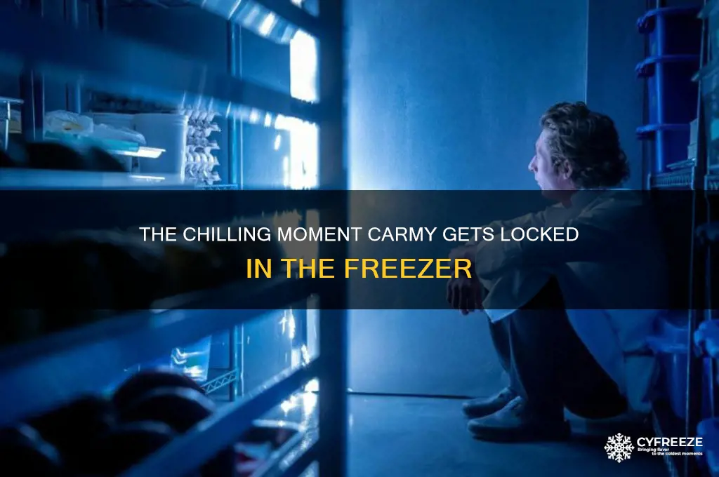 when does carmy get locked in the freezer