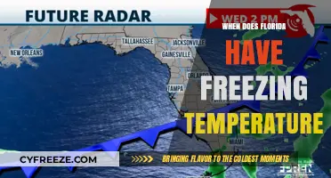 When Does Florida Experience Freezing Temperatures? A Seasonal Guide