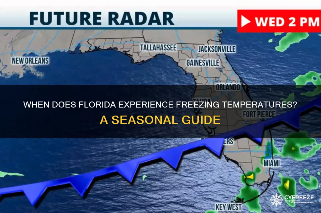 when does florida have freezing temperatures