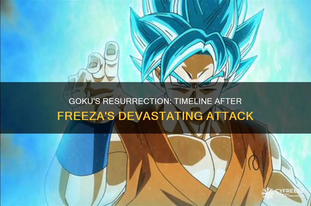 when does goku get revivrd after freeza