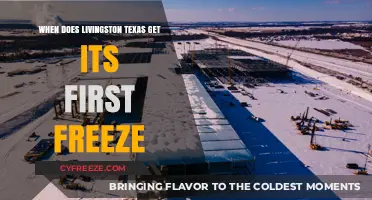 Livingston, Texas: Predicting the Arrival of the First Freeze