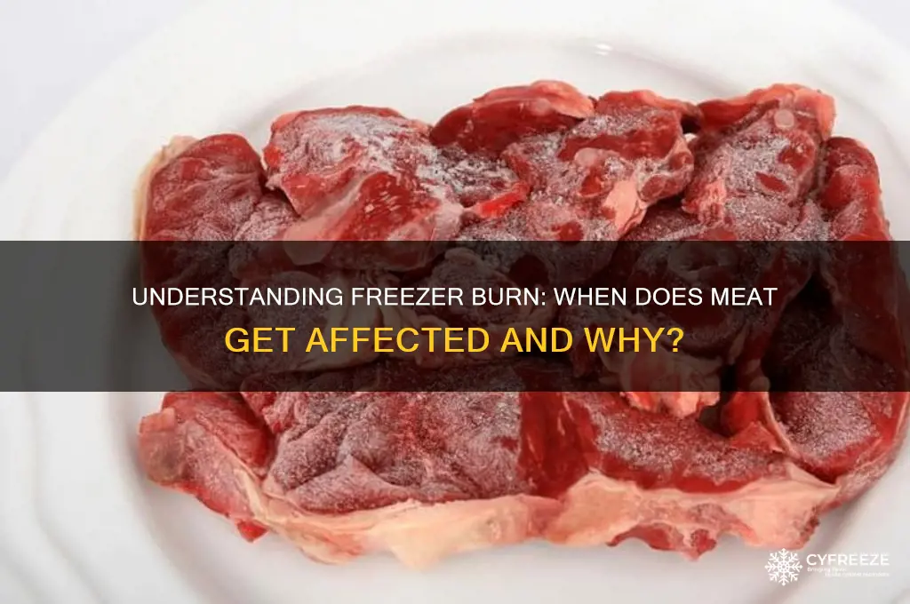 when does meat get freezer burn