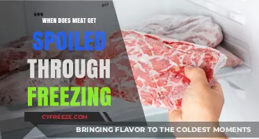 Freezing Meat: Understanding Shelf Life and Spoilage Risks