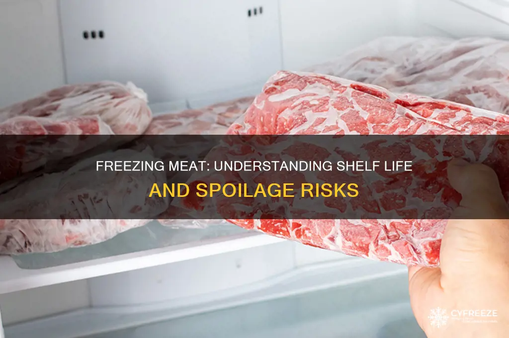 when does meat get spoiled through freezing