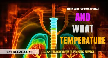 When Do Lungs Freeze? Understanding Extreme Cold Temperature Risks