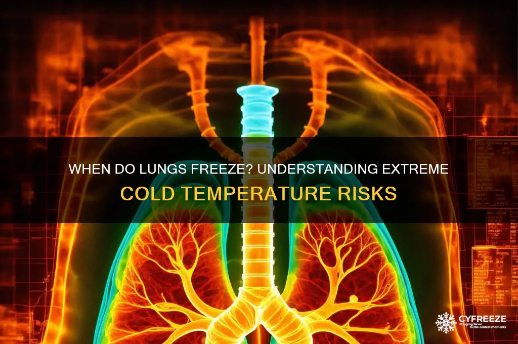 when does you lungs freeze and what temperature