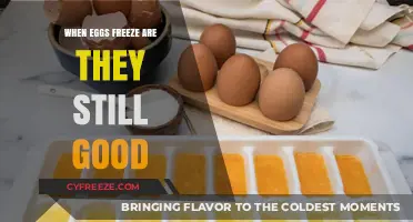 The Surprising Truth About Frozen Eggs: Are They Still Good?